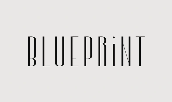 THE BLUEPRINT